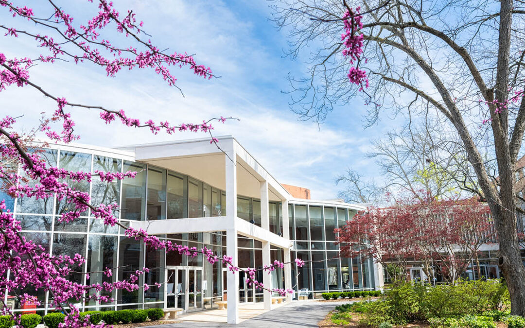 Spring has sprung!